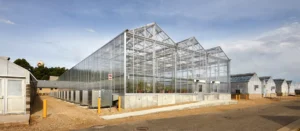 Kent State Greenhouse