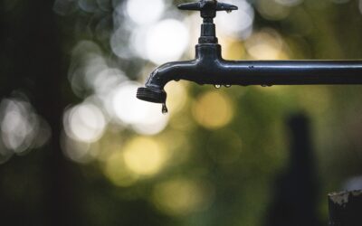 Do You Know What’s in Your Greenhouse Irrigation Water?