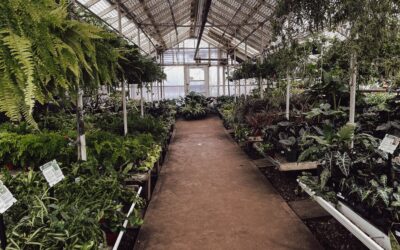 24 Ways to Make Your Greenhouse Safer for You and Your Employees