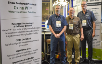 How Clean Is Your Water?