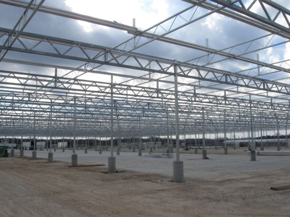 Metrolina - Commercial greenhouse