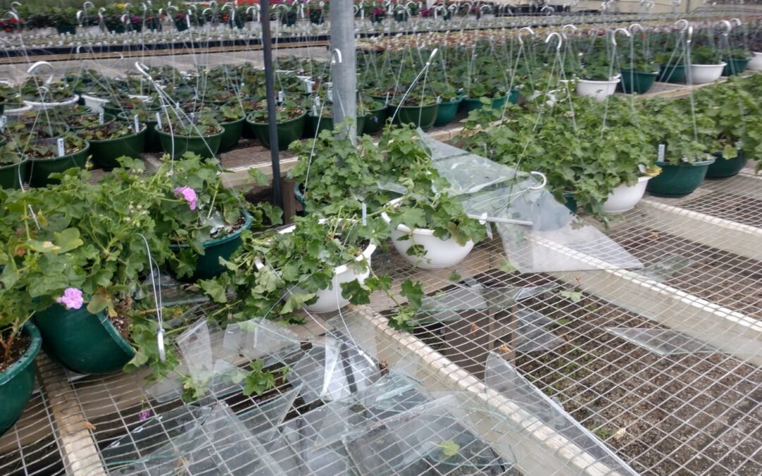 Watters Farm LLC
