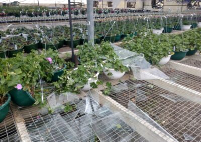 Watters Farm LLC