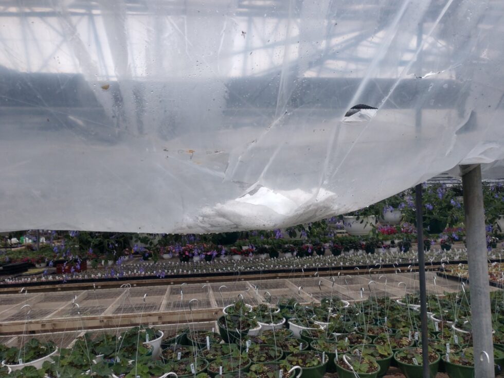 greenhouse covered roof for winter