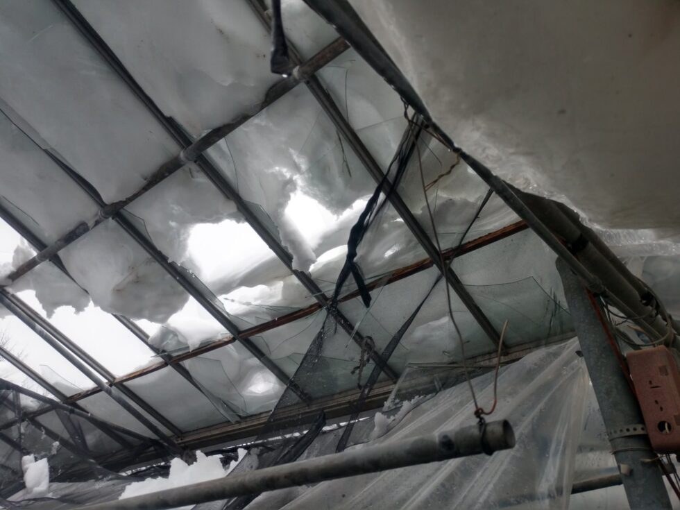 snow on greenhouse roof