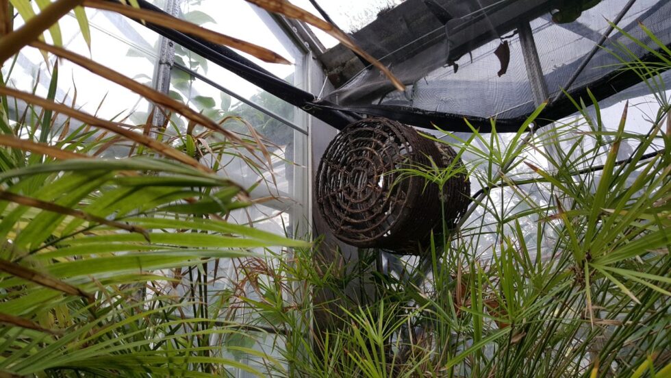 Kent State greenhouse Renovation interior
