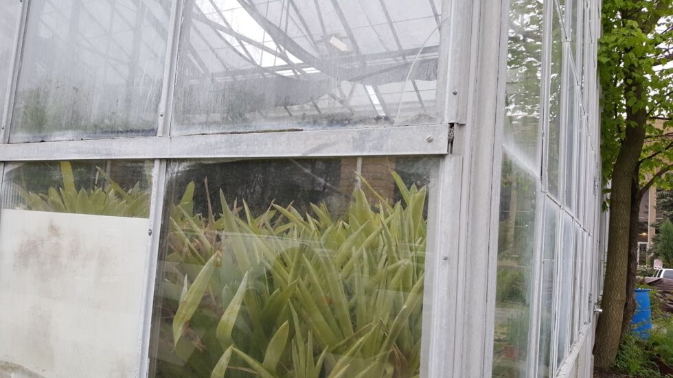 Kent State greenhouse Renovation exterior