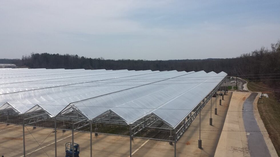 Commercial greenhouse roof structure - Metrolina
