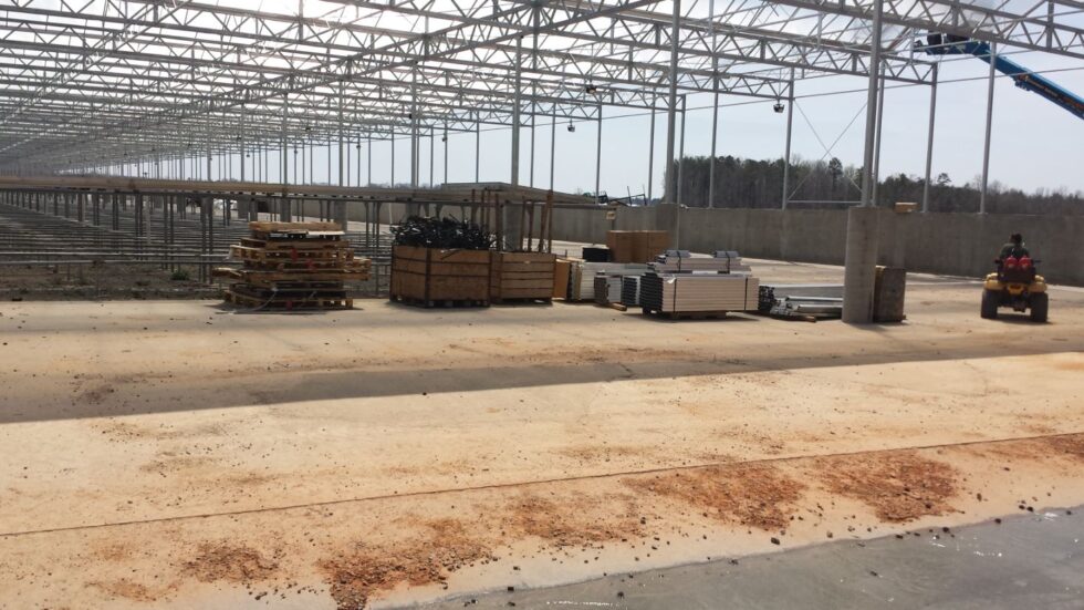 Commercial greenhouse inside structure - Metrolina