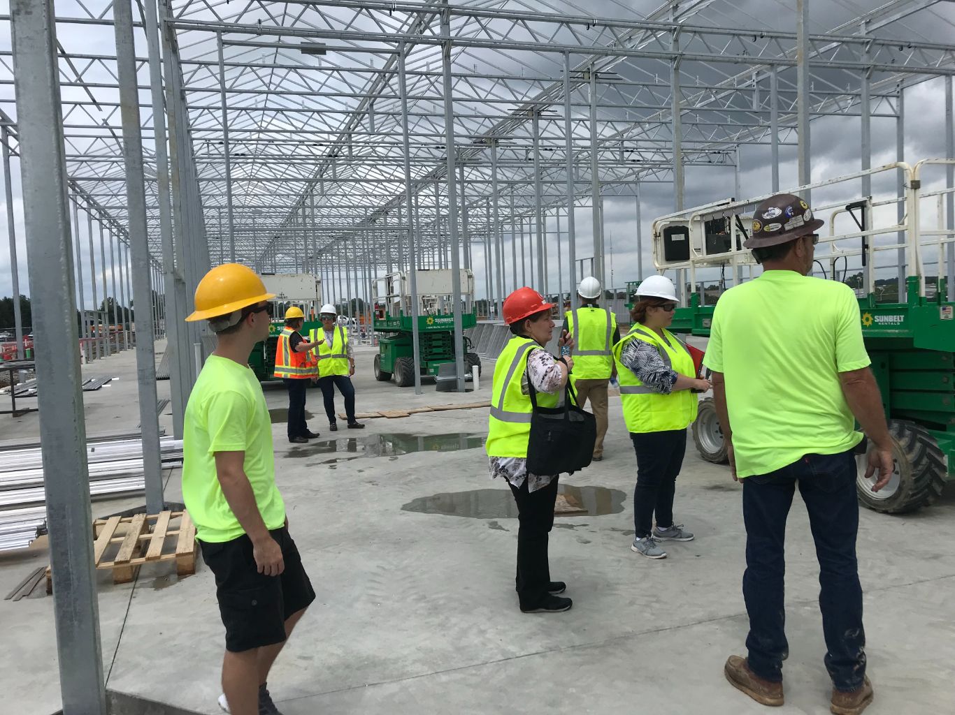 Workers in greenhouse