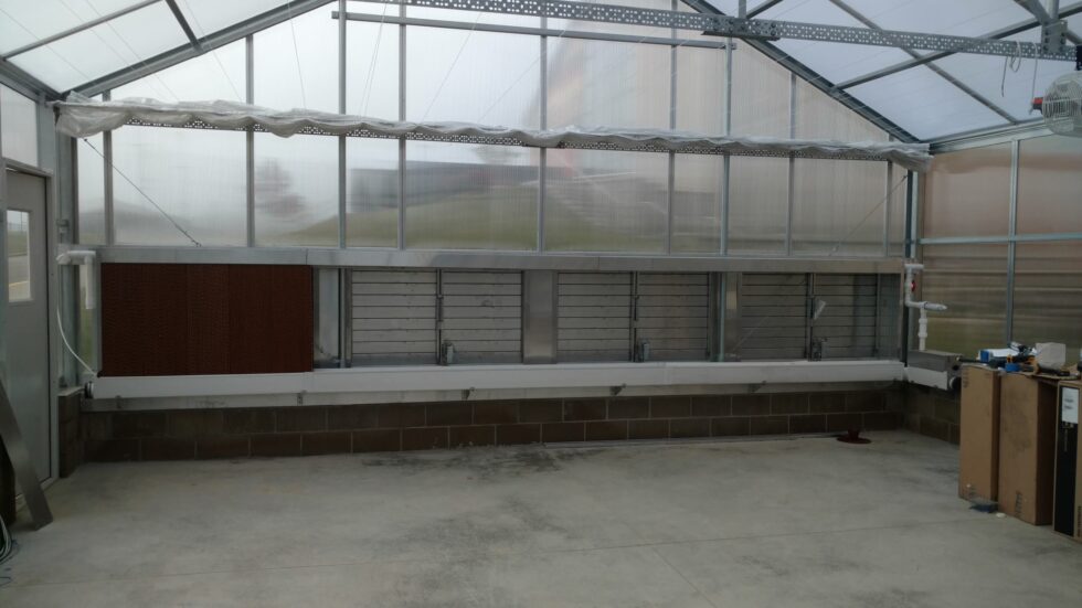 Dalton School District greenhouse interior