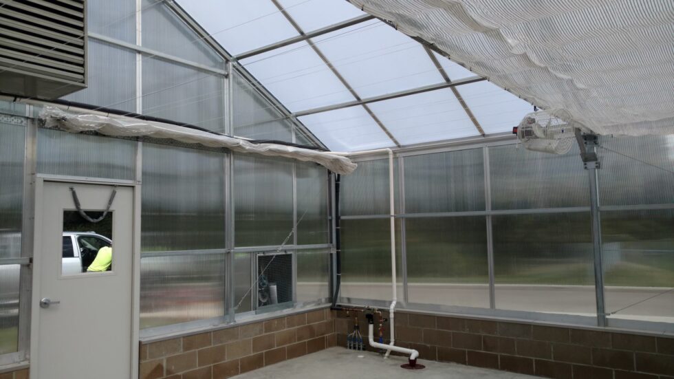Dalton School District greenhouse interior