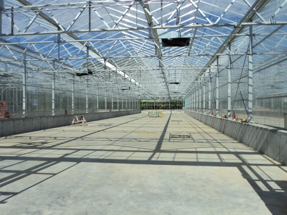 Delaware greenhouse interior