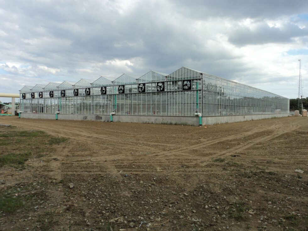 Delaware greenhouse exterior