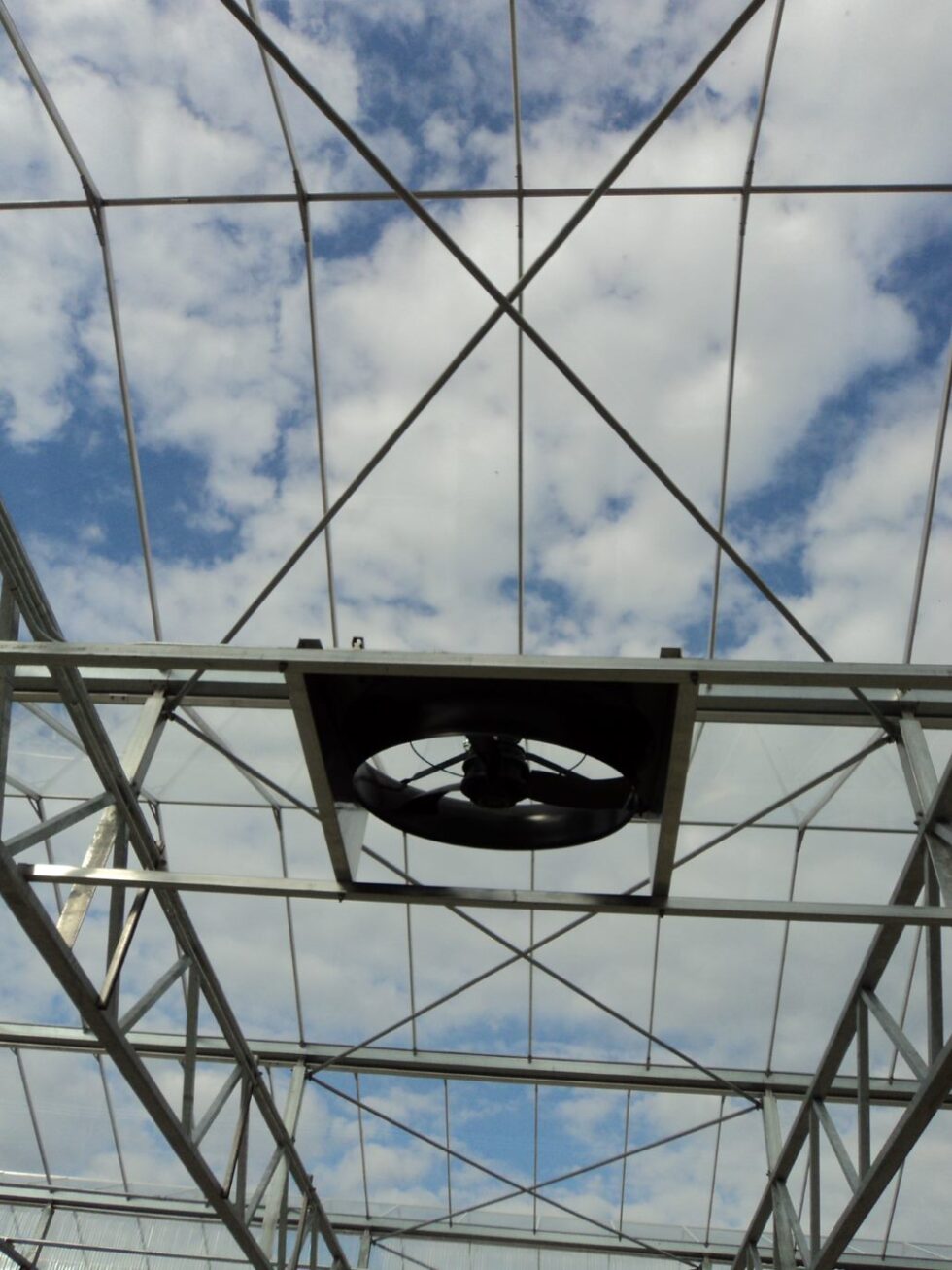 Delaware greenhouse exterior