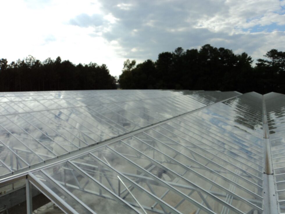 Delaware greenhouse exterior roof
