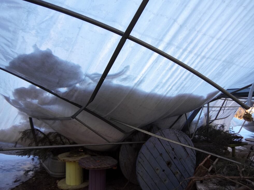 Edwards Greenhouse roof