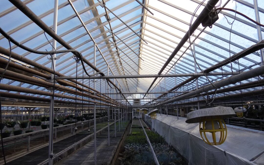 Edwards Greenhouse
