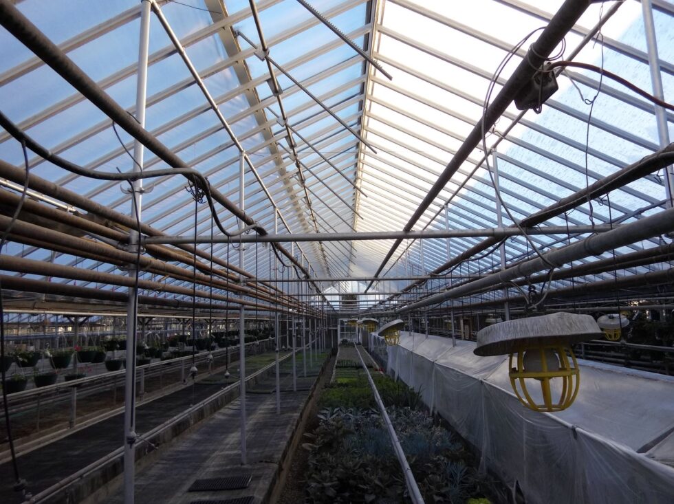 Edwards Greenhouse interior