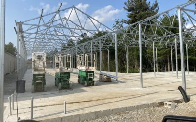 Building Custom Solutions