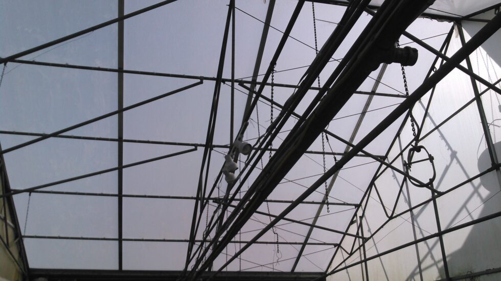 Orchids Greenhouse interior