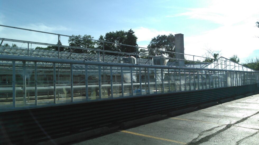 Orchids Greenhouse exterior