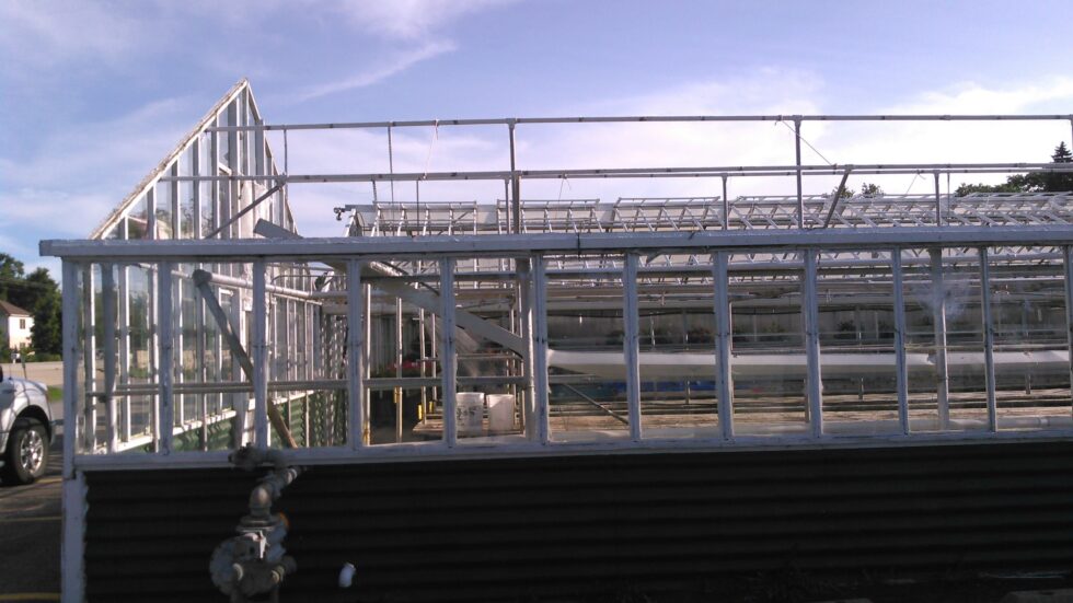 Orchids Greenhouse exterior