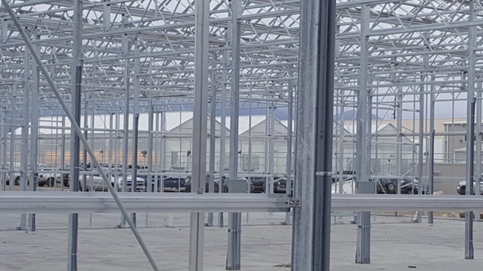 Pure Greens Phase 2 construction