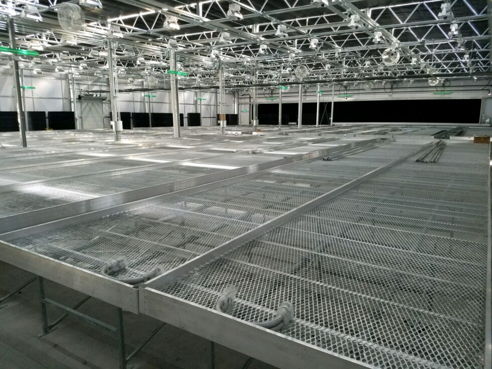 Pure Greens Phase 2 construction