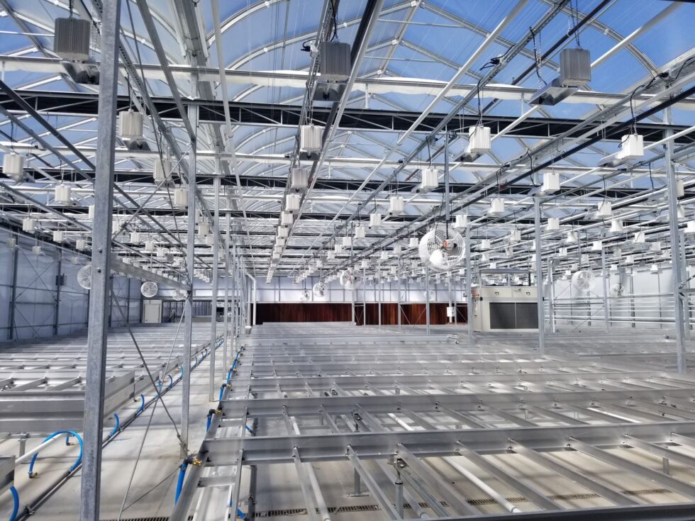 Pincanna construction interior