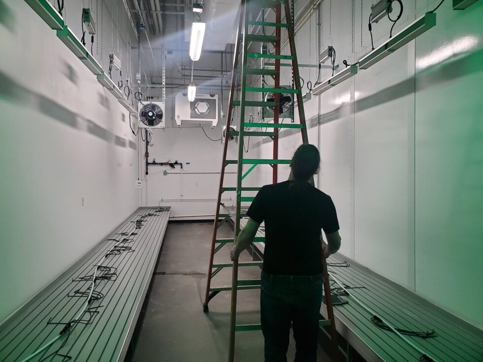 Portsmouth indoor worker