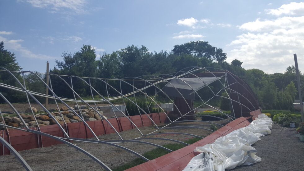 Rohr & Sons Greenhouse down