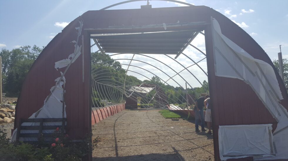 Rohr & Sons Greenhouse