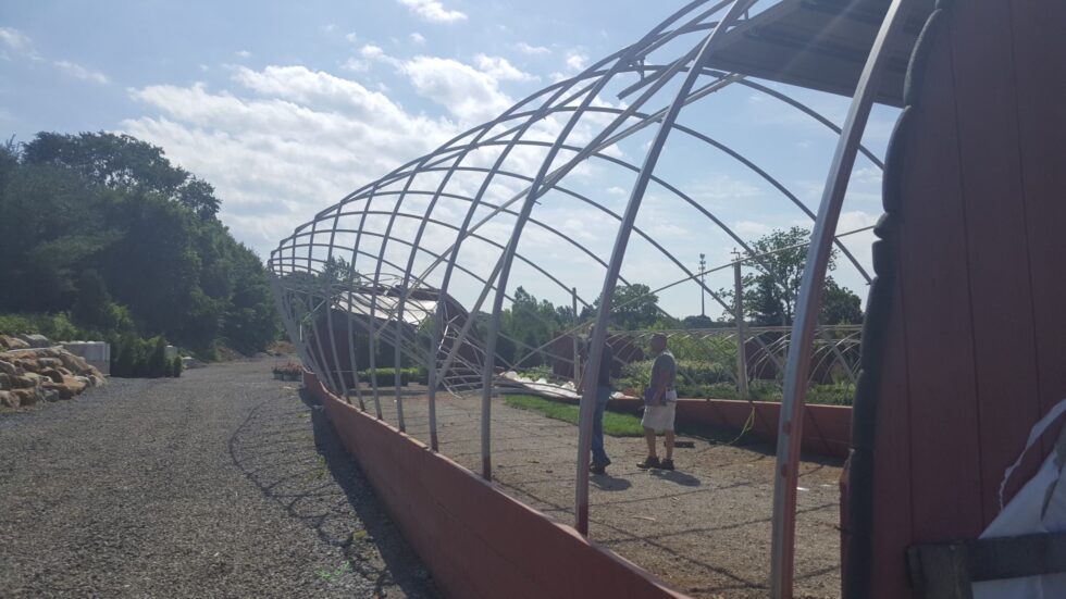 Rohr & Sons Greenhouse