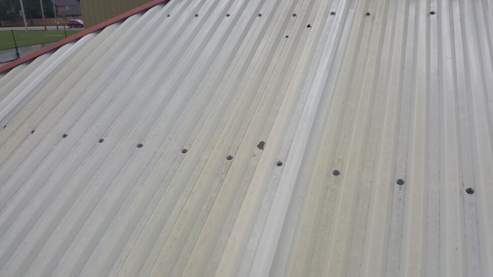 Garden Trug Greenhouse roof