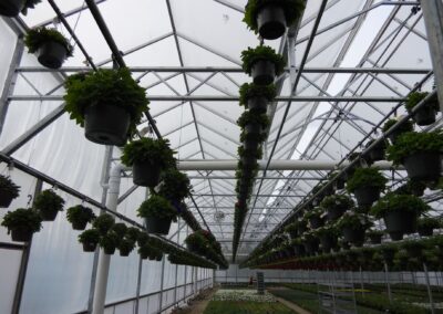 Uncle John’s Greenhouse