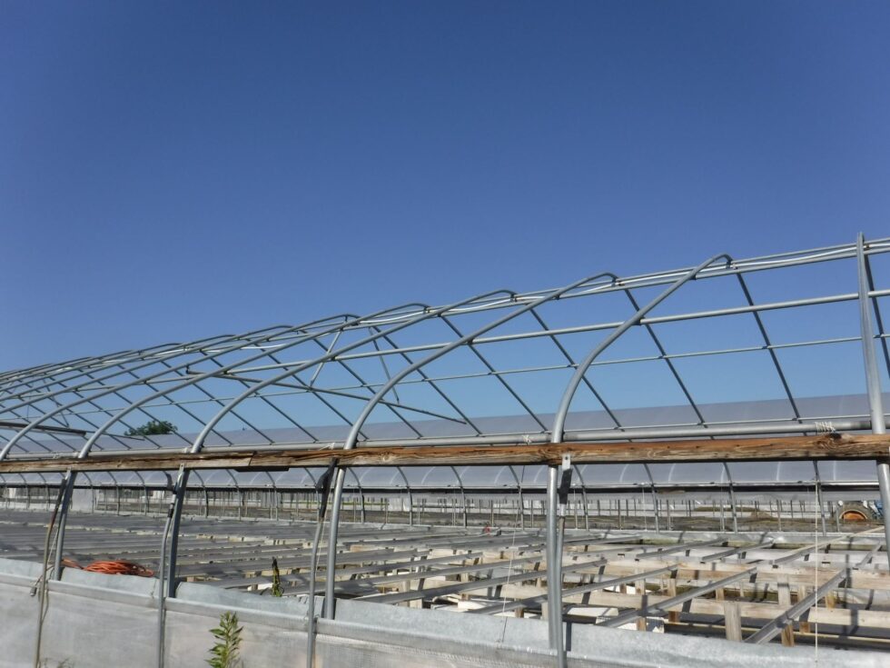 Veazey Greenhouse exterior