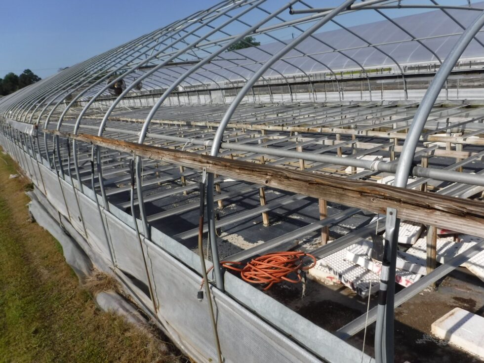 Veazey Greenhouse exterior