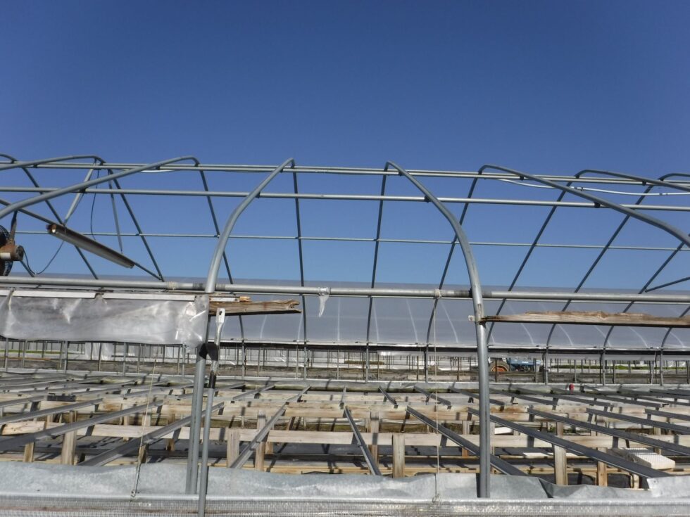 Veazey Greenhouse exterior