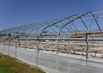 Veazey Plant Company