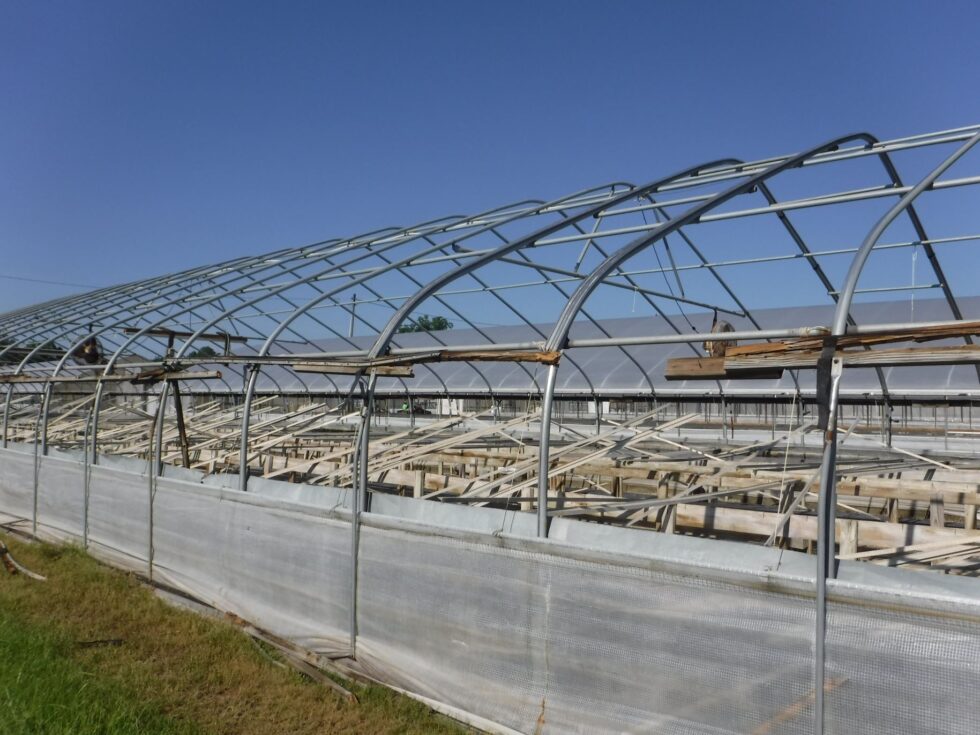 Veazey Greenhouse exterior