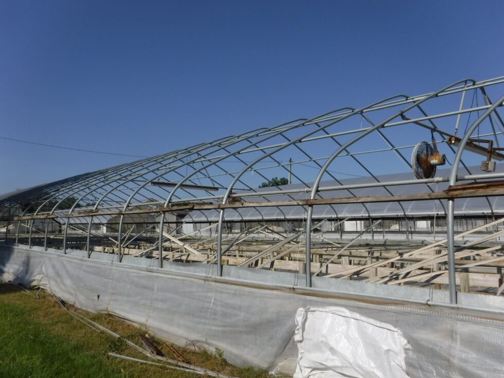 Veazey Greenhouse exterior