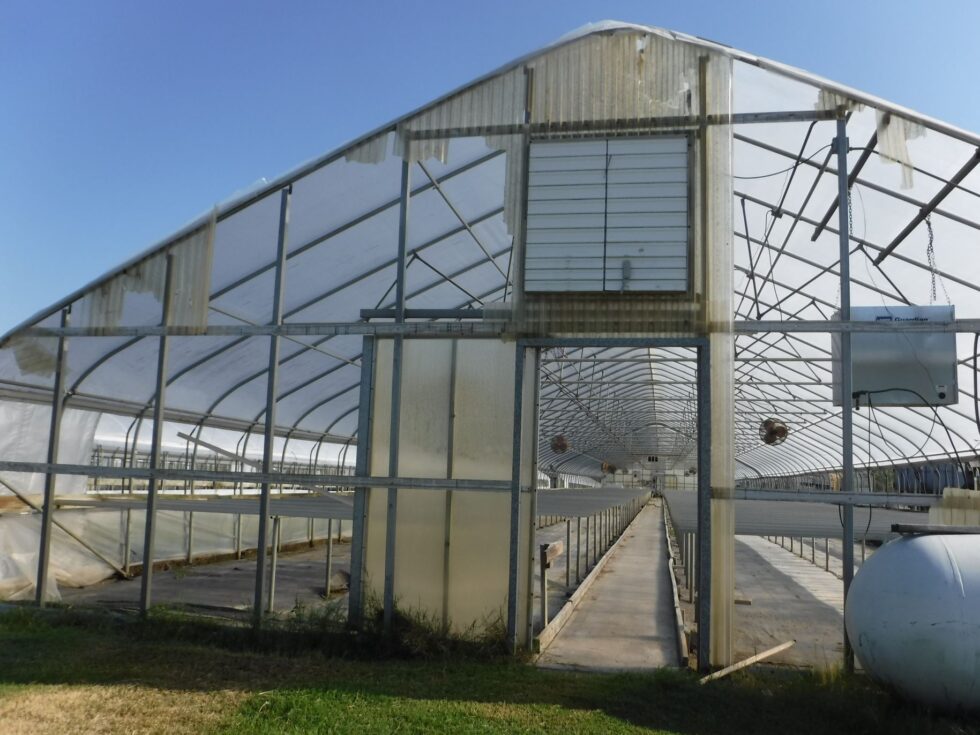 Veazey Greenhouse