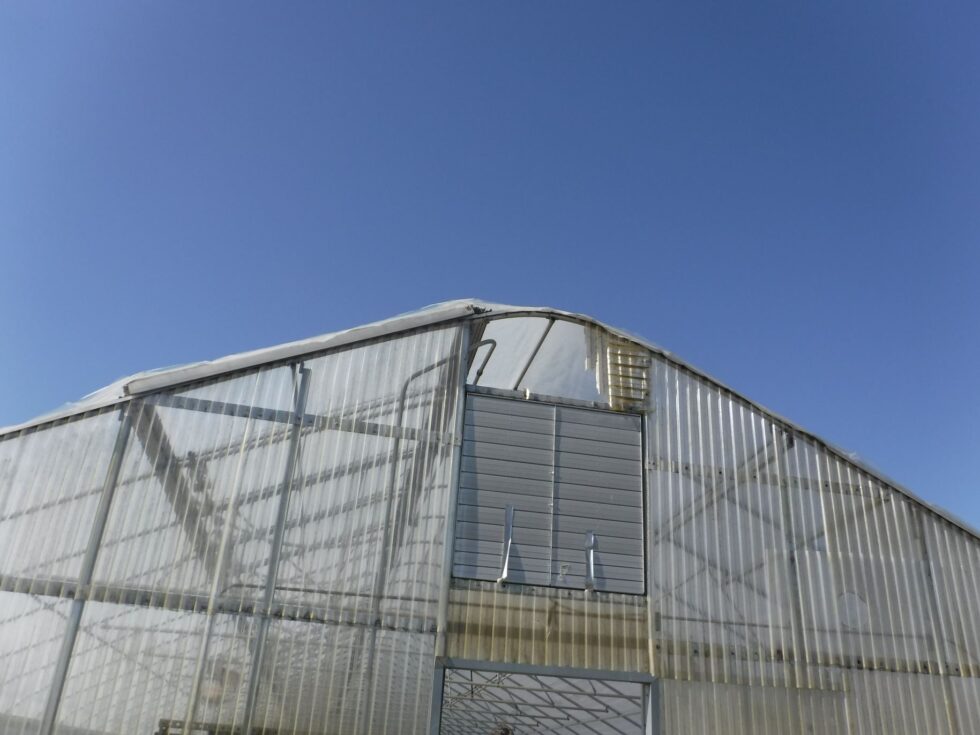 Veazey Greenhouse