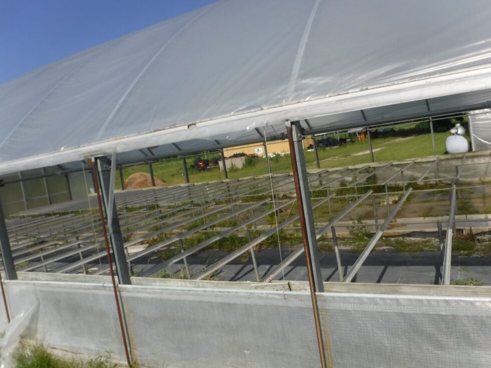 Veazey Greenhouse exterior