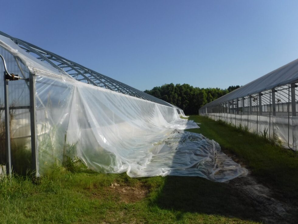 Veazey Greenhouse exterior