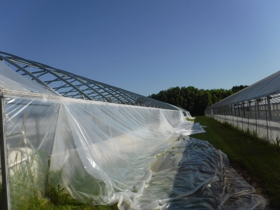 Veazey Greenhouse exterior
