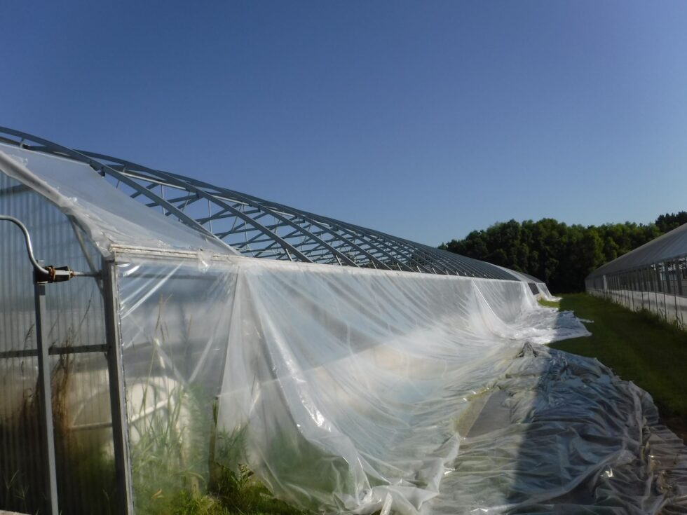 Veazey Greenhouse exterior