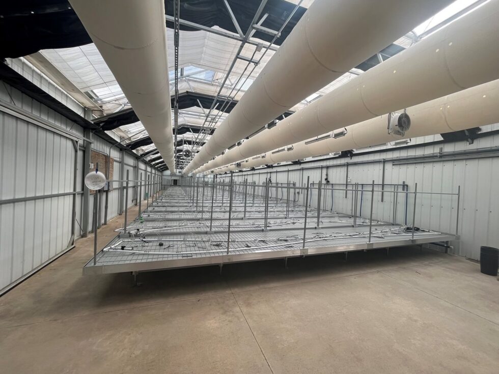 Alachua greenhouse interior