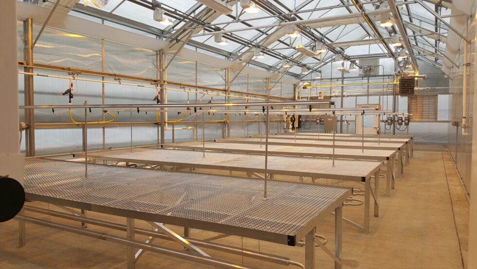 ati greenhouse construction interior